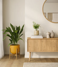 Load image into Gallery viewer, Tiger Lily stand:one_stand