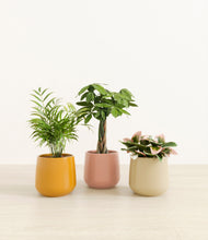 Load image into Gallery viewer, Evening Sky*****Profile