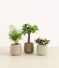 Load image into Gallery viewer, Earthy*****Profile