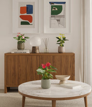 Load image into Gallery viewer, Earthy