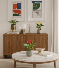 Load image into Gallery viewer, Earthy stand:one_stand