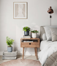 Load image into Gallery viewer, Pebble Shore