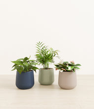 Load image into Gallery viewer, Winding River*****Profile