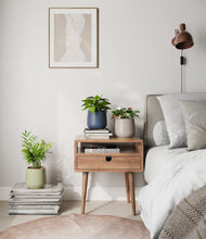 Load image into Gallery viewer, Winding River