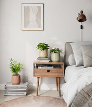 Load image into Gallery viewer, Lily Pad