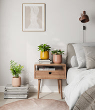 Load image into Gallery viewer, Evening Sky