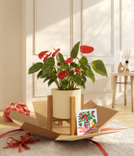 Load image into Gallery viewer, Anthurium