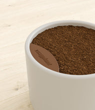 Load image into Gallery viewer, Cotton White stand:all