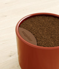 Load image into Gallery viewer, Glossy Red stand:all