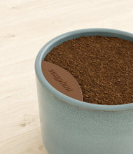 Load image into Gallery viewer, Reactive Aqua stand:all