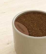 Load image into Gallery viewer, Sage Green stand:all