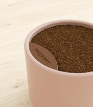 Load image into Gallery viewer, Sandy Pink stand:all