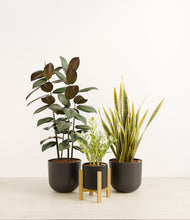 Load image into Gallery viewer, Charcoal stand:light