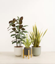 Load image into Gallery viewer, Countryside stand:light