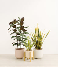 Load image into Gallery viewer, Sandy stand:light