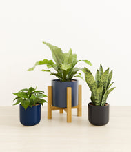 Load image into Gallery viewer, Eclipse stand:light