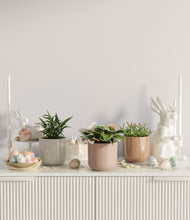 Load image into Gallery viewer, Peach Blossom