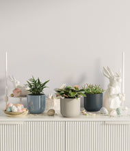 Load image into Gallery viewer, Easter Basket