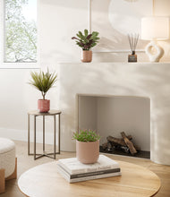 Load image into Gallery viewer, Peaches and Cream