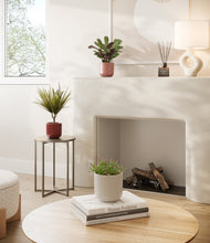 Load image into Gallery viewer, Coral Elegance