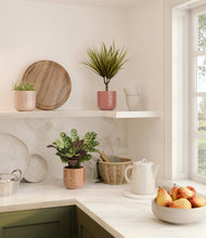 Load image into Gallery viewer, Peaches and Cream