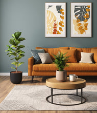 Load image into Gallery viewer, Hazy Skies