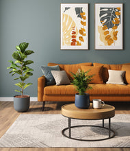 Load image into Gallery viewer, Coastal Breeze