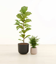 Load image into Gallery viewer, Hazy Skies*****Profile