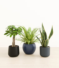 Load image into Gallery viewer, Eclipse*****Profile