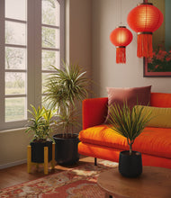 Load image into Gallery viewer, Charcoal