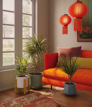 Load image into Gallery viewer, Whispering Waves