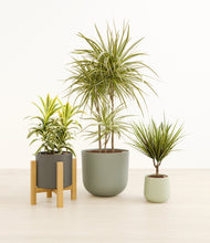 Load image into Gallery viewer, Countryside*****Profile