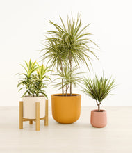 Load image into Gallery viewer, Evening Sky*****Profile