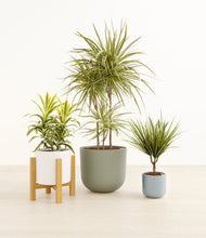 Load image into Gallery viewer, Whispering Waves*****Profile