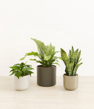 Load image into Gallery viewer, Calm Clay