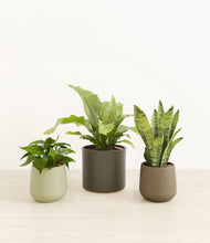 Load image into Gallery viewer, Countryside