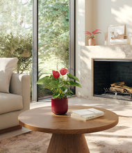 Load image into Gallery viewer, Ruby Rhythm