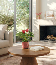 Load image into Gallery viewer, Copper Cozy