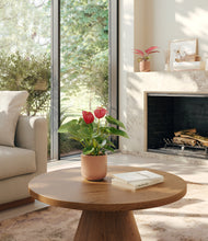 Load image into Gallery viewer, Petal Pair