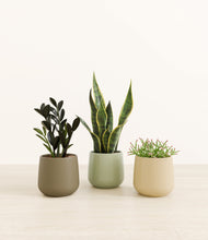 Load image into Gallery viewer, Earthy