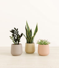 Load image into Gallery viewer, Sandy