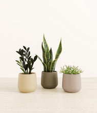 Load image into Gallery viewer, Woodland