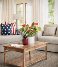 Load image into Gallery viewer, Liberty Light