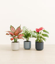 Load image into Gallery viewer, Pebble Shore*****Profile