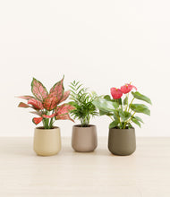 Load image into Gallery viewer, Woodland*****Profile