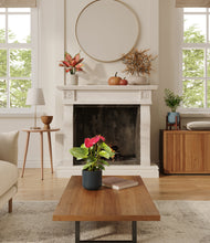 Load image into Gallery viewer, Pebble Shore stand:one_stand