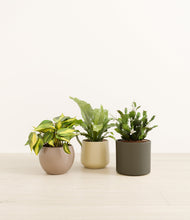 Load image into Gallery viewer, Woodland*****Profile