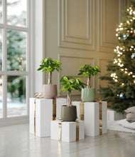 Load image into Gallery viewer, Earthy