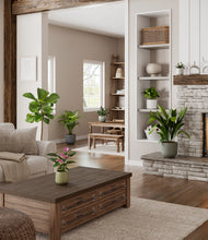 Load image into Gallery viewer, Earthy