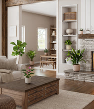 Load image into Gallery viewer, Sandy